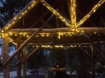 Lights Lights